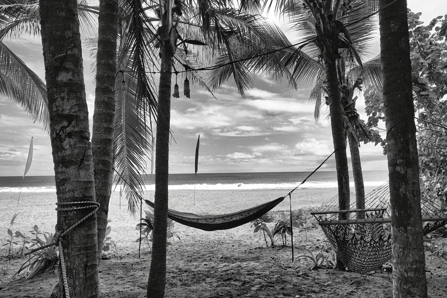 Hammock Harmony - Playa Cocles, Costa Rica