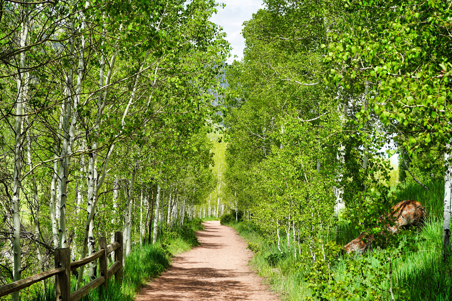 Birchwood Passage - Telluride, Colorado