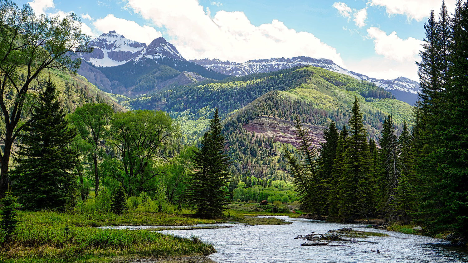 Streamside - Telluride, Colorado