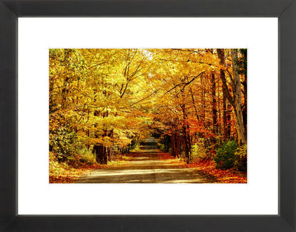 Fine Art Framed Prints: With or Without Mat