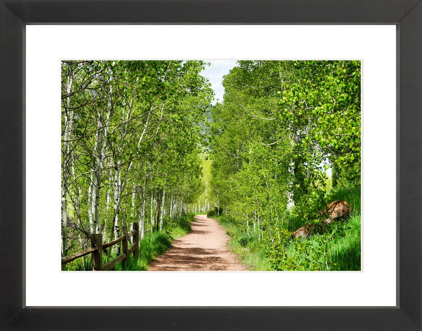 Framed Premium Prints: With or Without Mat