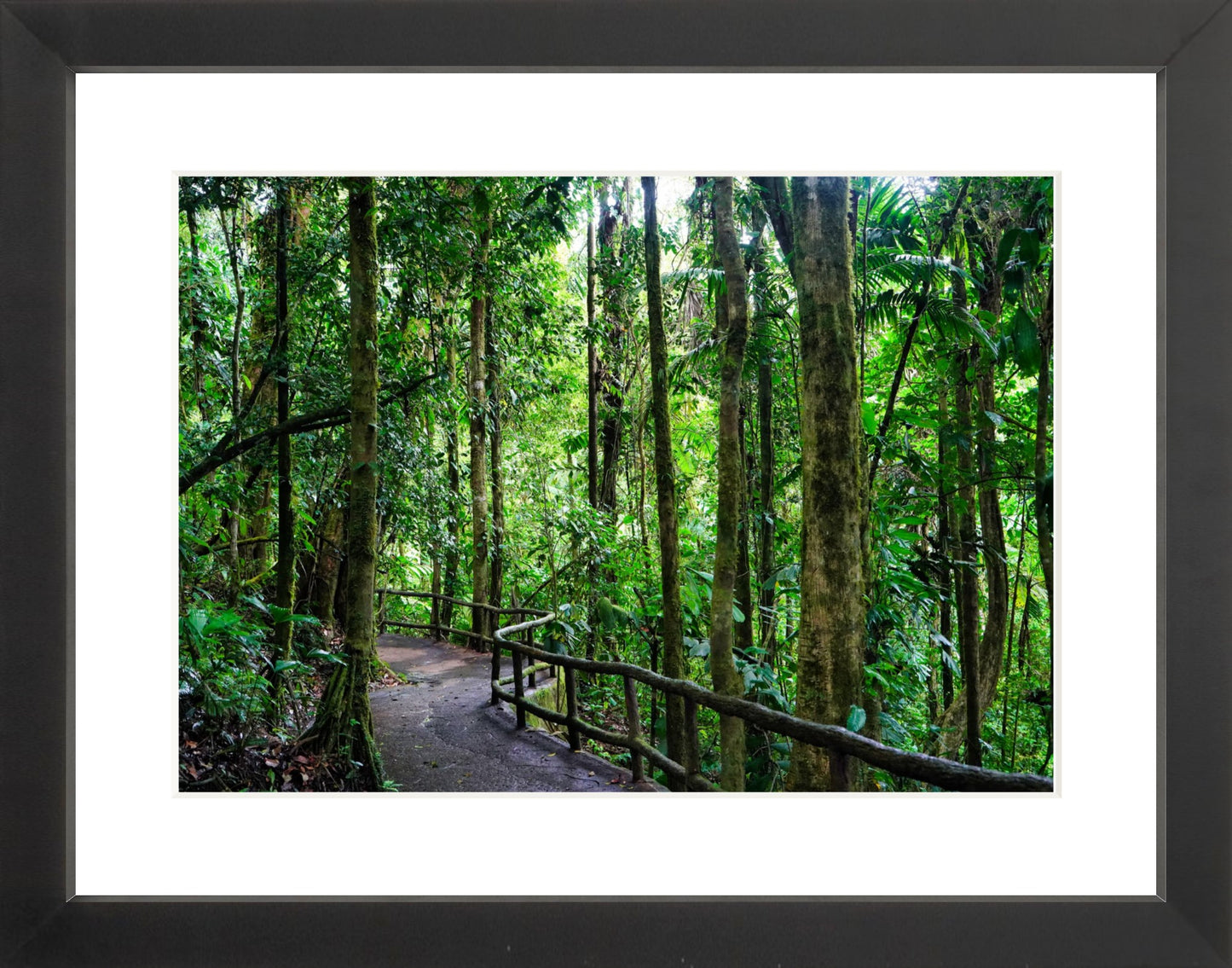 Framed Premium Prints: With or Without Mat