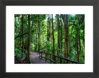 Fine Art Framed Prints: With or Without Mat