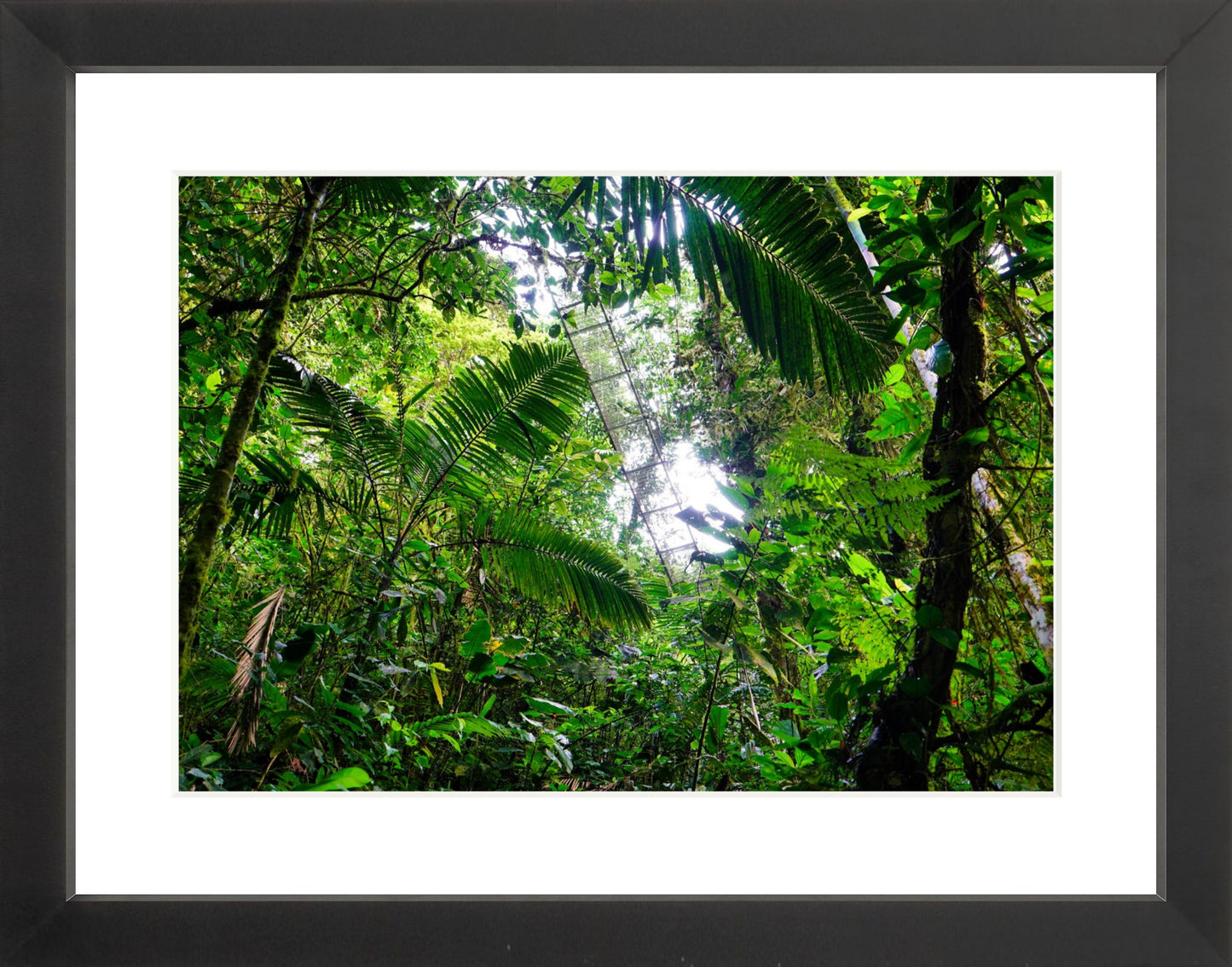 Fine Art Framed Prints: With or Without Mat