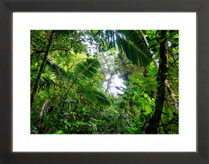 Fine Art Framed Prints: With or Without Mat