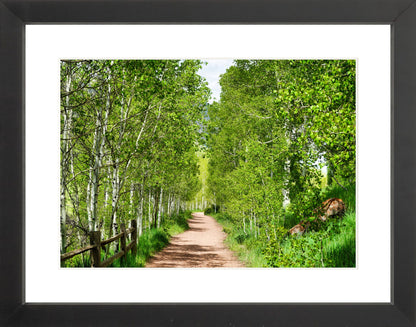 Fine Art Framed Prints: With or Without Mat
