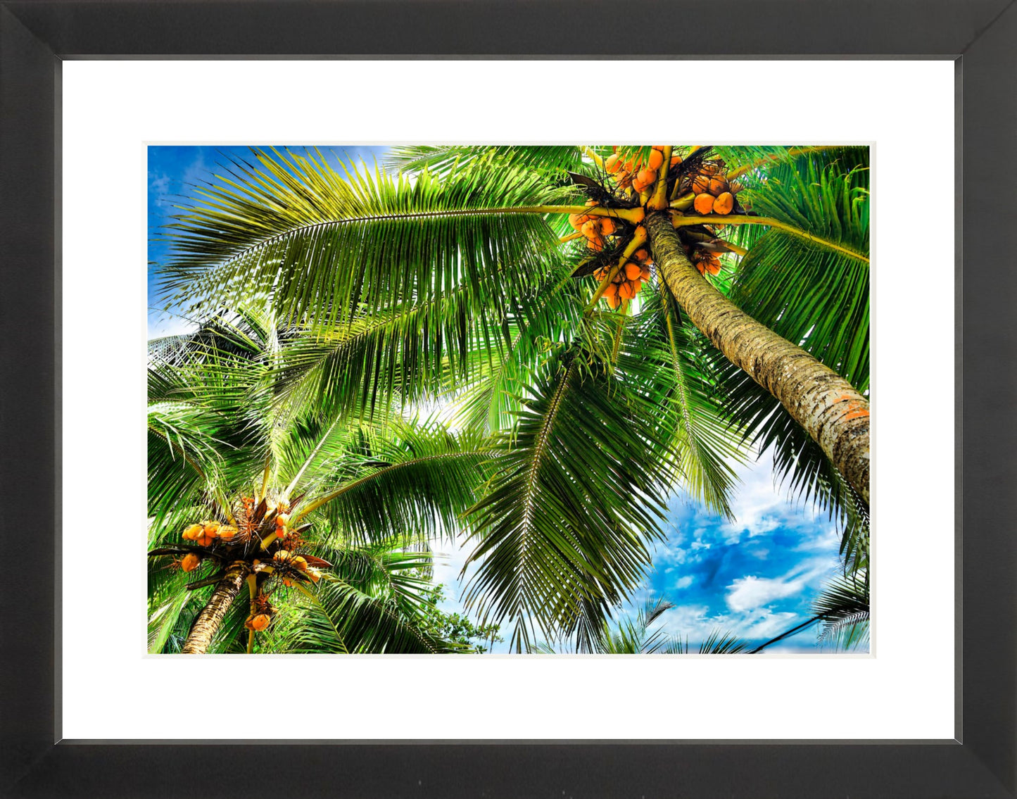 Framed Premium Prints: With or Without Mat