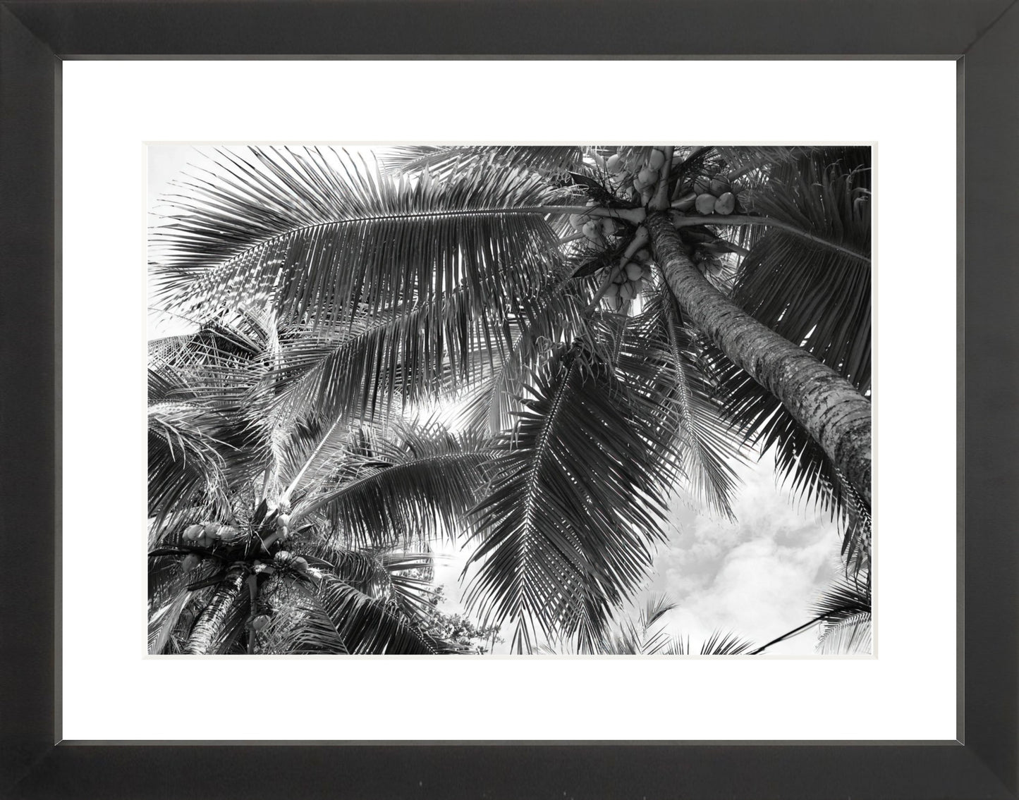 Fine Art Framed Prints: With or Without Mat