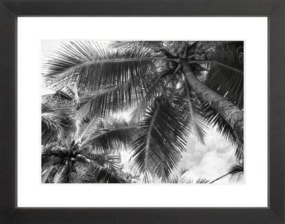 Fine Art Framed Prints: With or Without Mat