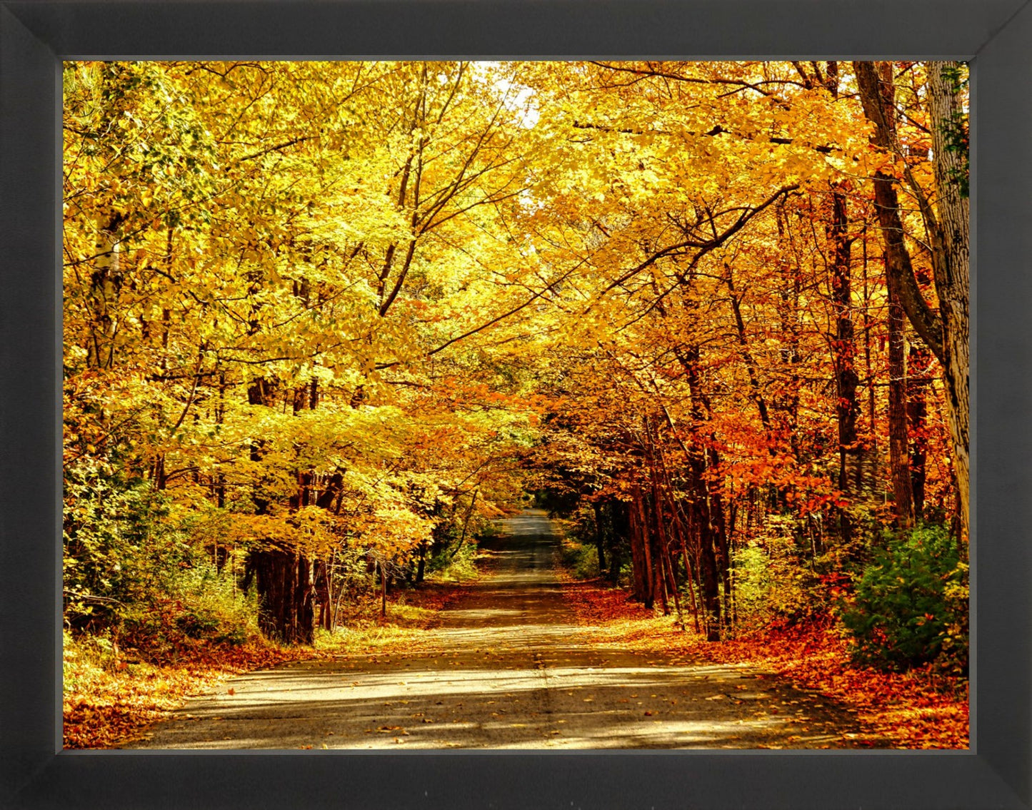 Fine Art Framed Prints: With or Without Mat