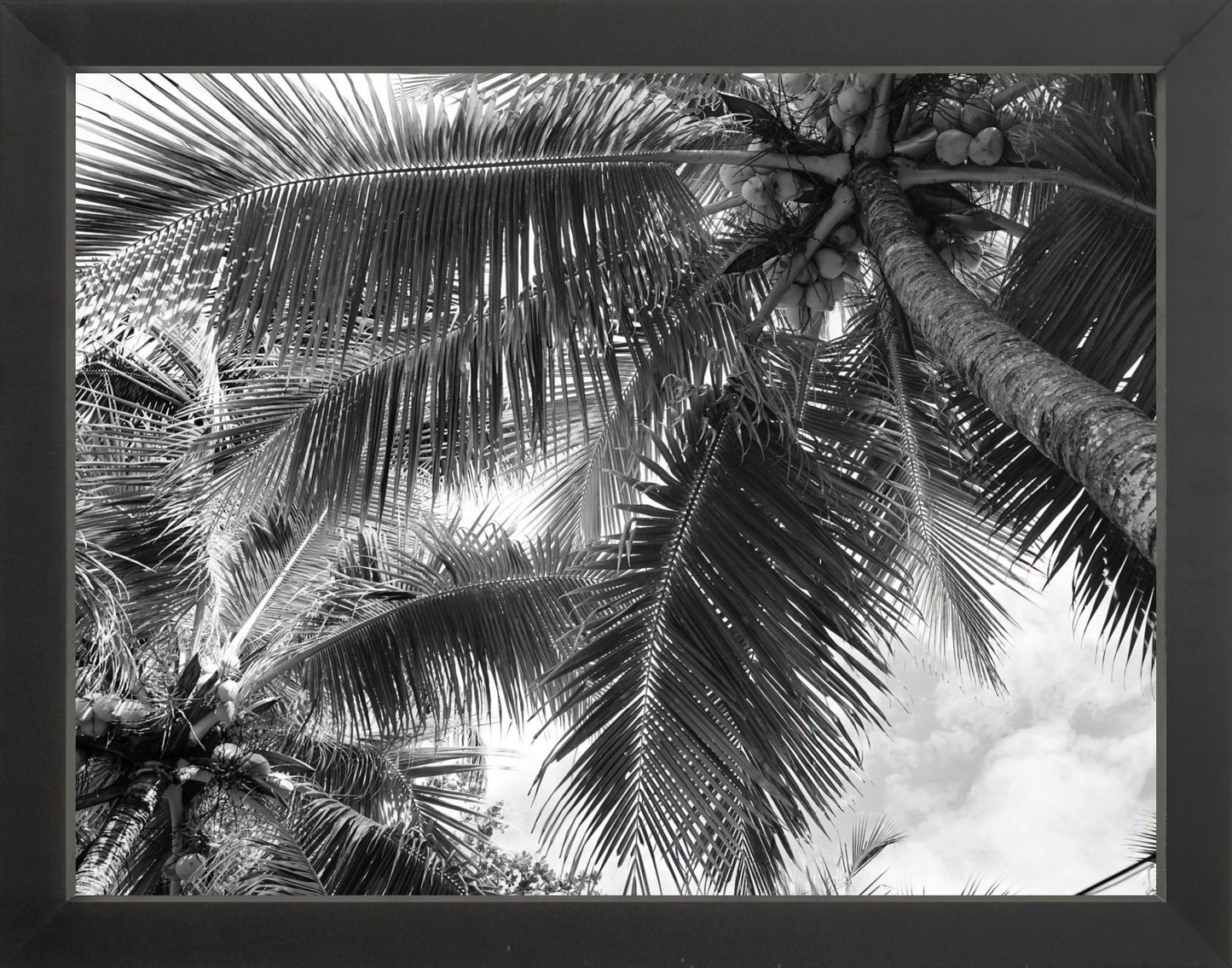 Fine Art Framed Prints: With or Without Mat