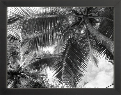 Fine Art Framed Prints: With or Without Mat