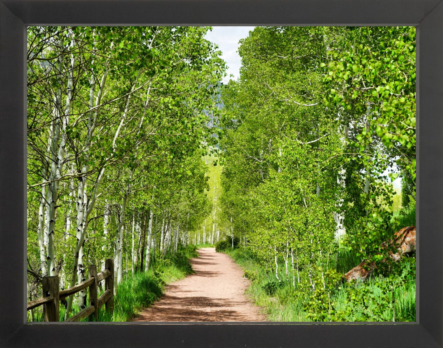 Fine Art Framed Prints: With or Without Mat