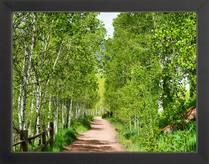 Fine Art Framed Prints: With or Without Mat