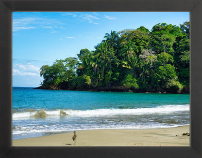 Fine Art Framed Prints: With or Without Mat