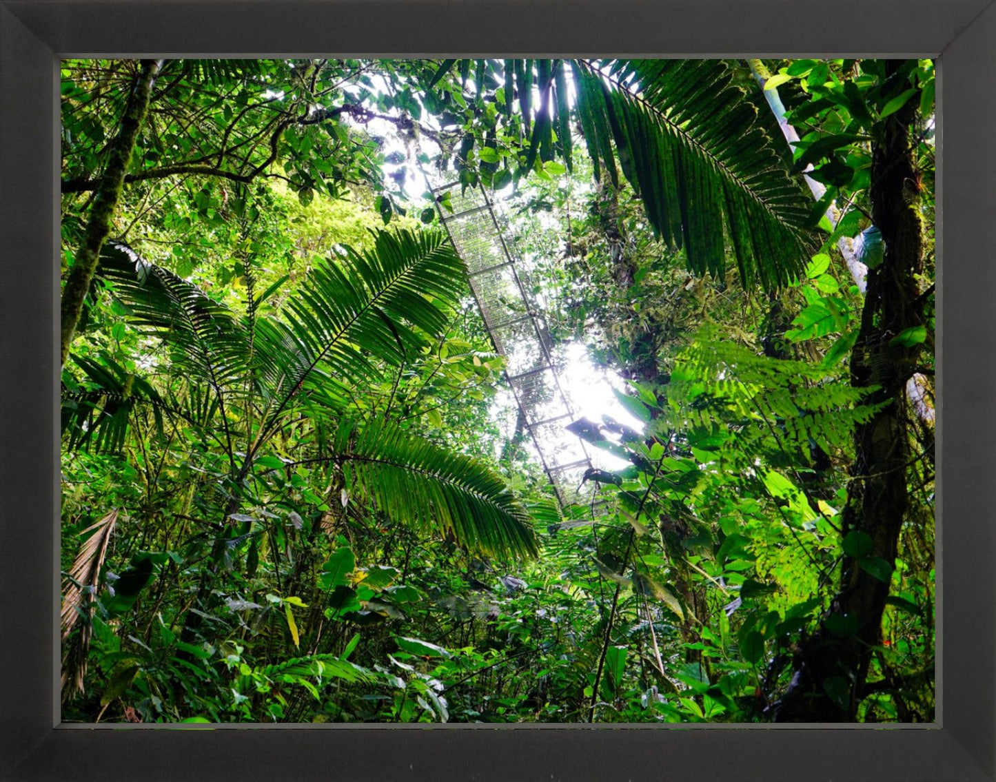 Fine Art Framed Prints: With or Without Mat