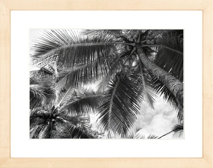 Fine Art Framed Prints: With or Without Mat