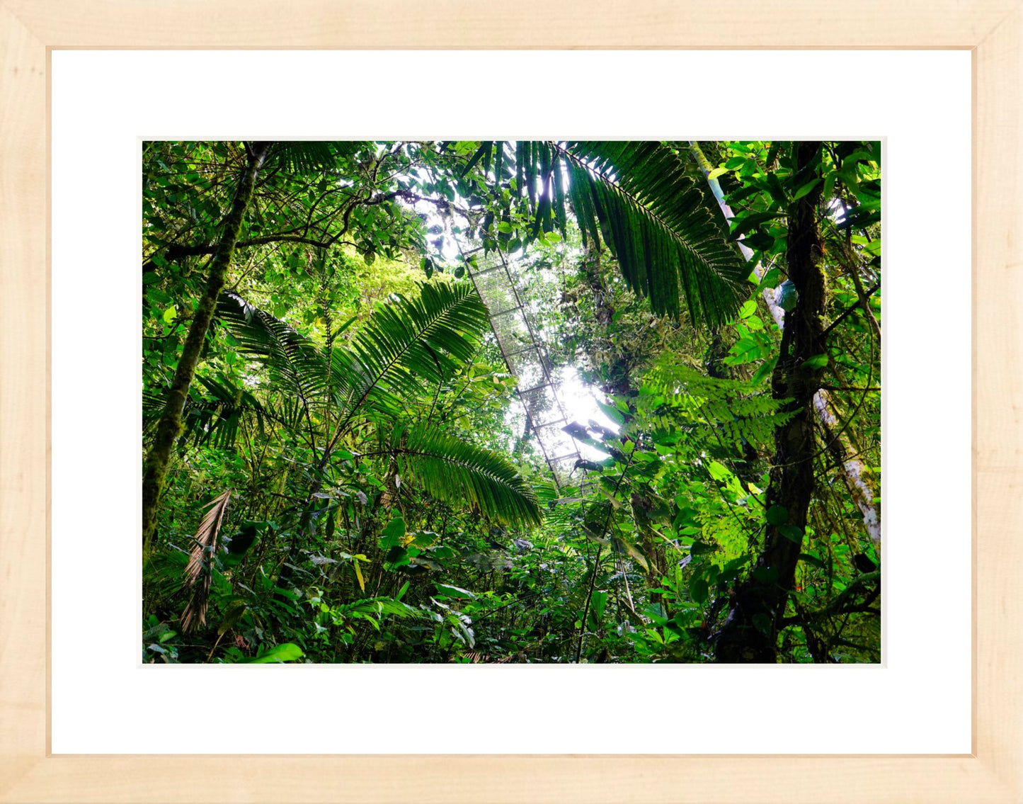 Fine Art Framed Prints: With or Without Mat