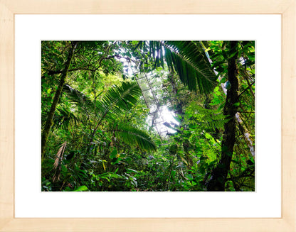Fine Art Framed Prints: With or Without Mat