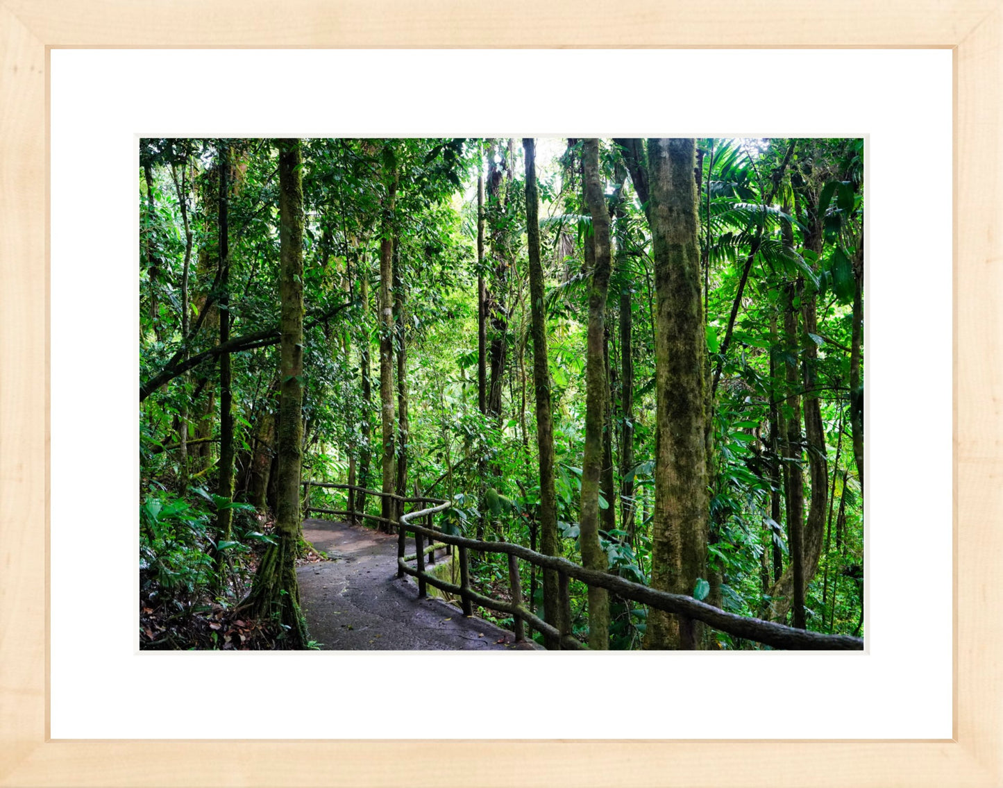 Fine Art Framed Prints: With or Without Mat