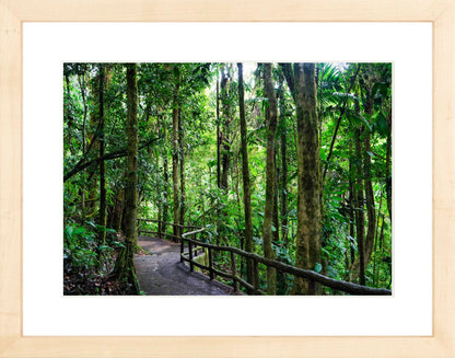 Fine Art Framed Prints: With or Without Mat
