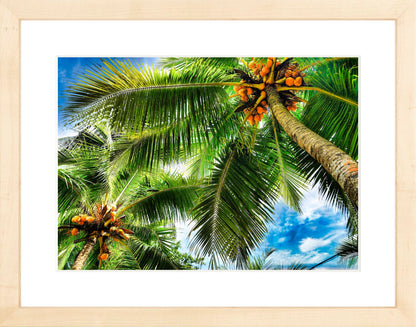 Framed Premium Prints: With or Without Mat