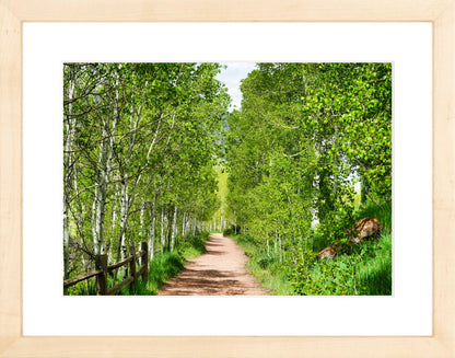 Fine Art Framed Prints: With or Without Mat