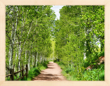 Fine Art Framed Prints: With or Without Mat