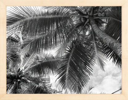 Fine Art Framed Prints: With or Without Mat
