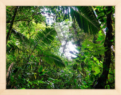 Fine Art Framed Prints: With or Without Mat