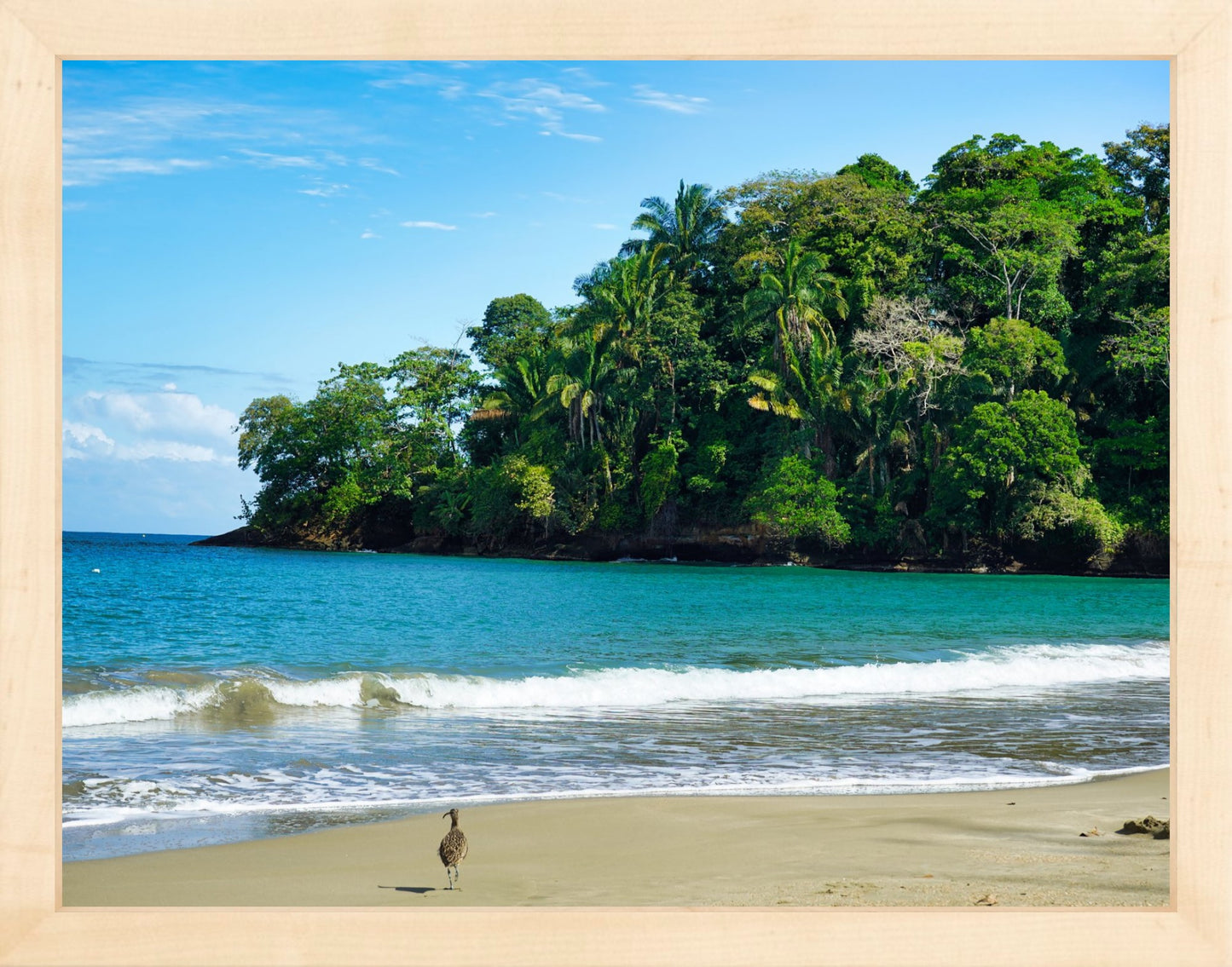 Fine Art Framed Prints: With or Without Mat