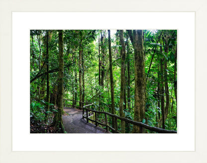 Fine Art Framed Prints: With or Without Mat