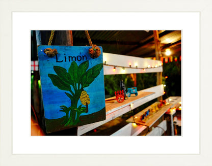 Fine Art Framed Prints: With or Without Mat