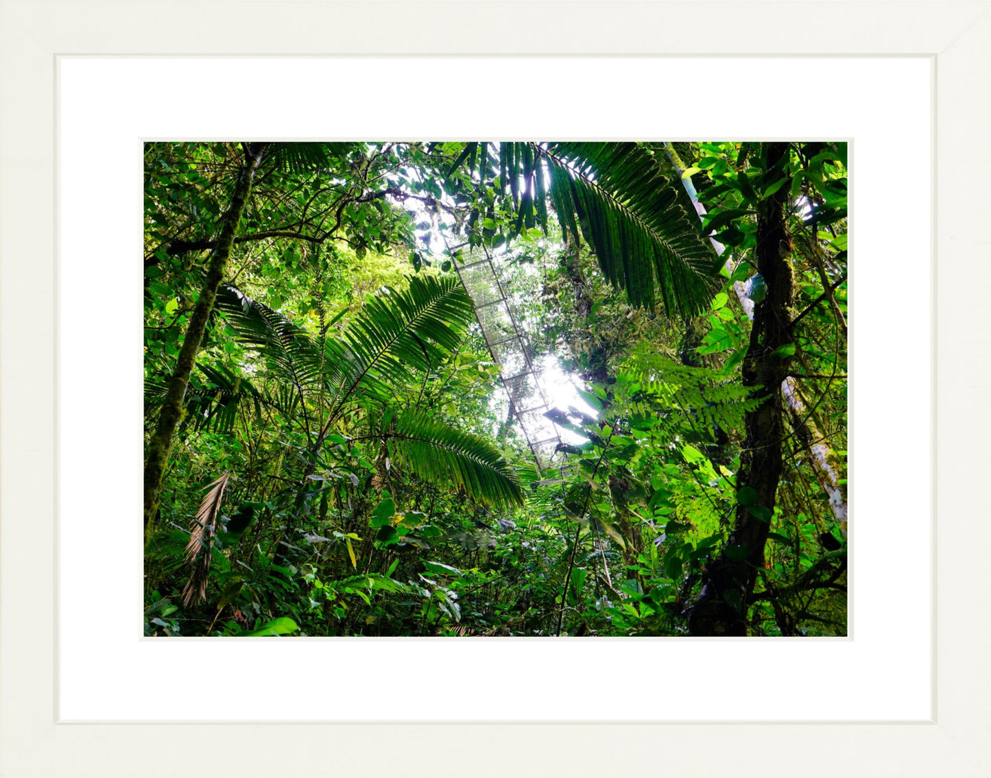Fine Art Framed Prints: With or Without Mat