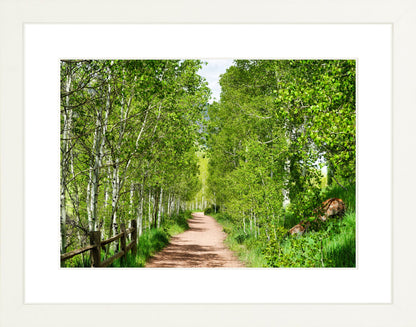 Fine Art Framed Prints: With or Without Mat