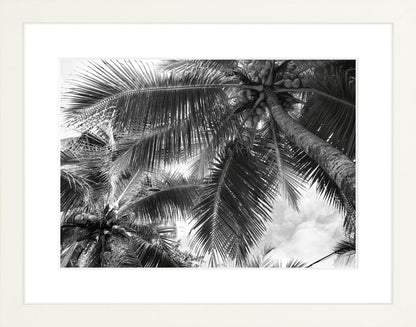 Fine Art Framed Prints: With or Without Mat