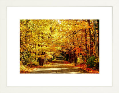 Fine Art Framed Prints: With or Without Mat