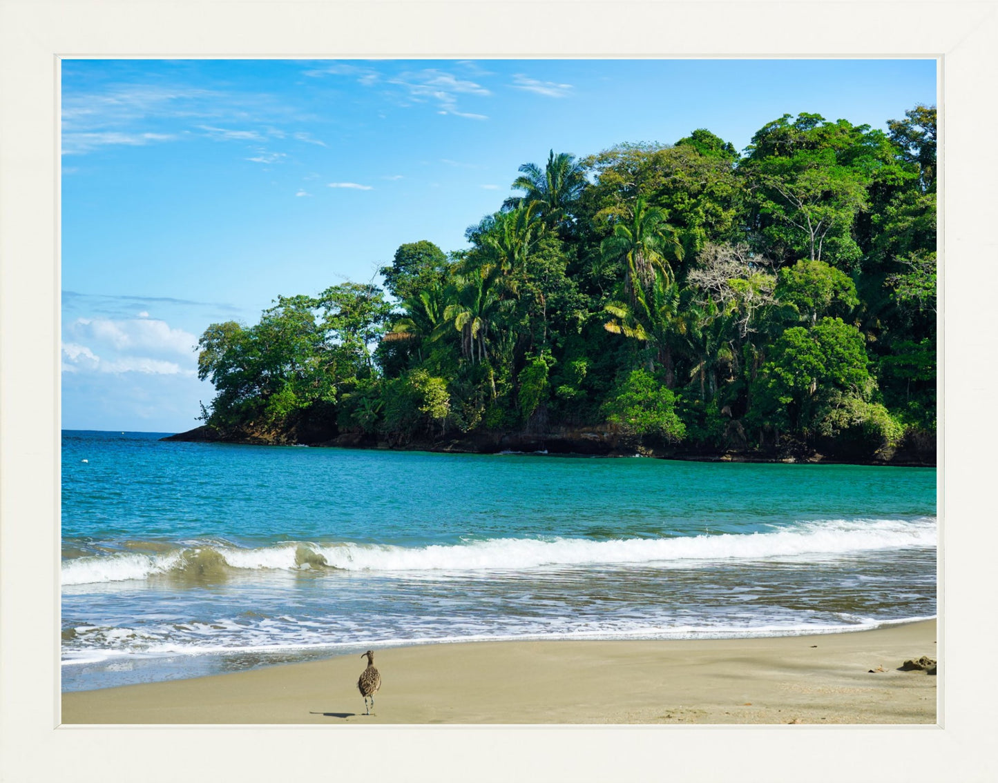 Fine Art Framed Prints: With or Without Mat