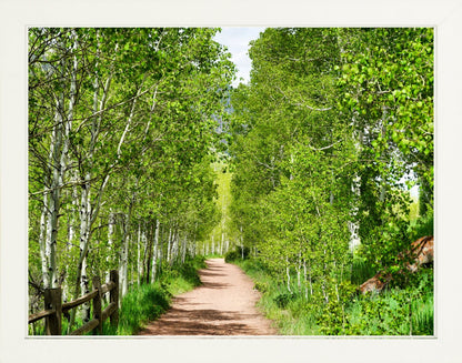 Fine Art Framed Prints: With or Without Mat