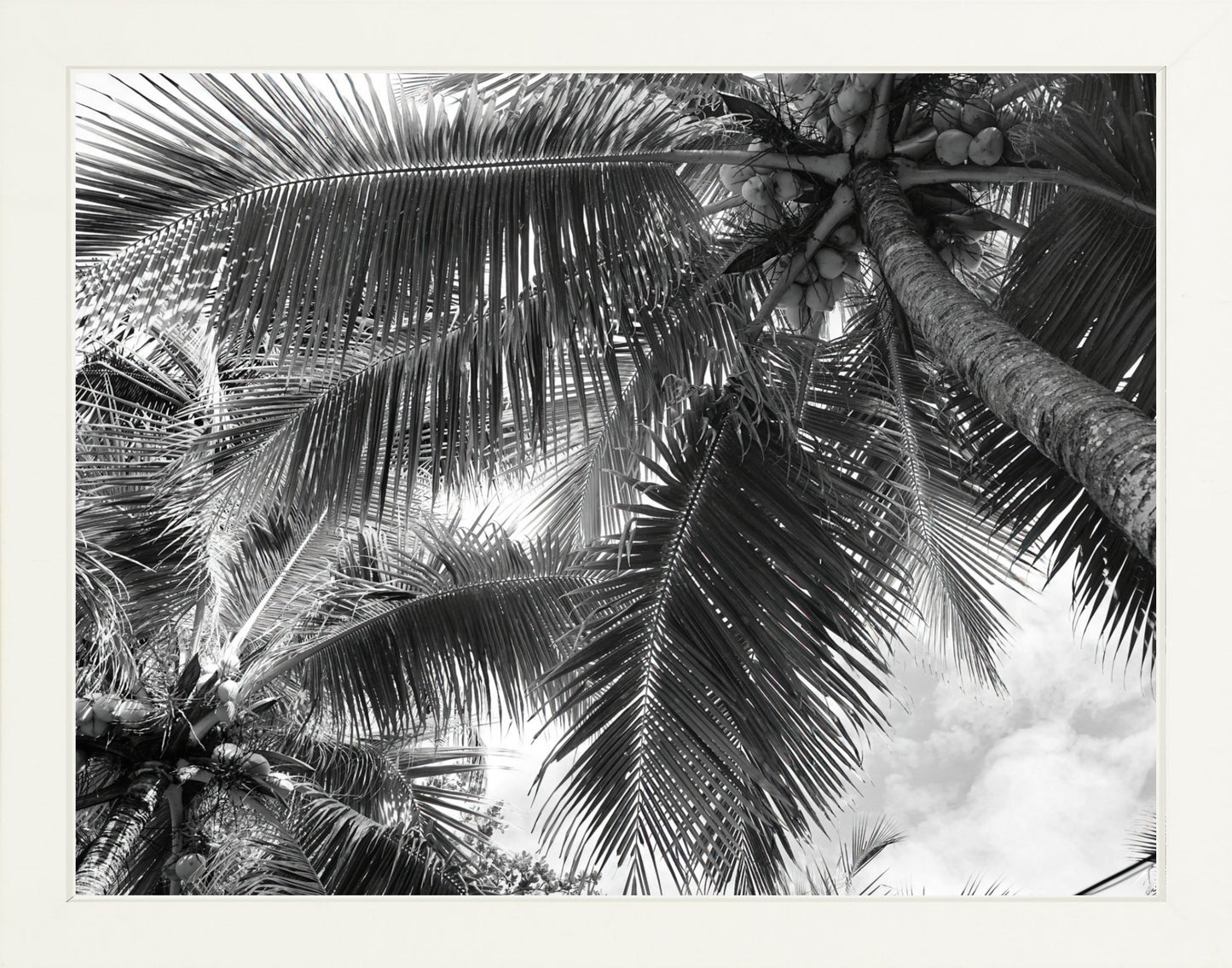 Fine Art Framed Prints: With or Without Mat