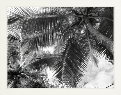 Fine Art Framed Prints: With or Without Mat
