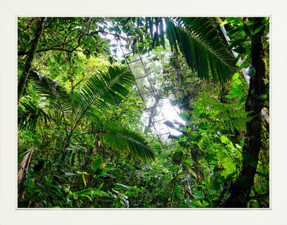 Fine Art Framed Prints: With or Without Mat