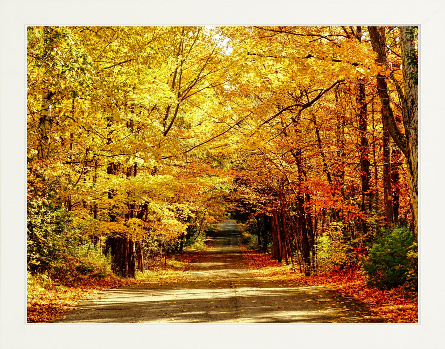 Fine Art Framed Prints: With or Without Mat
