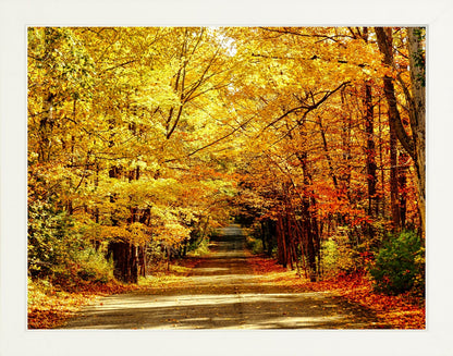 Fine Art Framed Prints: With or Without Mat