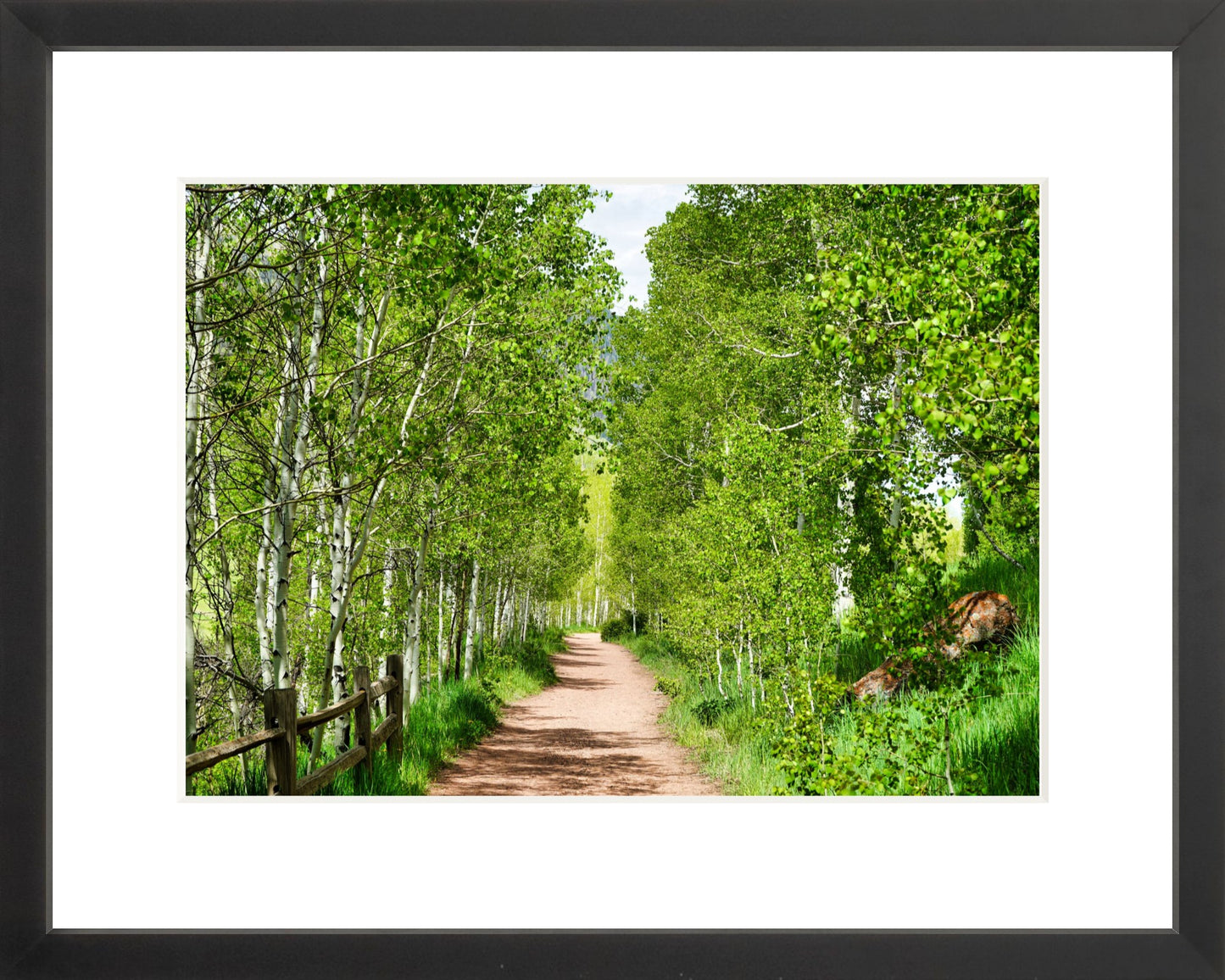 Fine Art Framed Prints: With or Without Mat