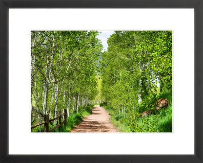 Fine Art Framed Prints: With or Without Mat