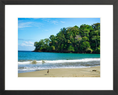 Fine Art Framed Prints: With or Without Mat