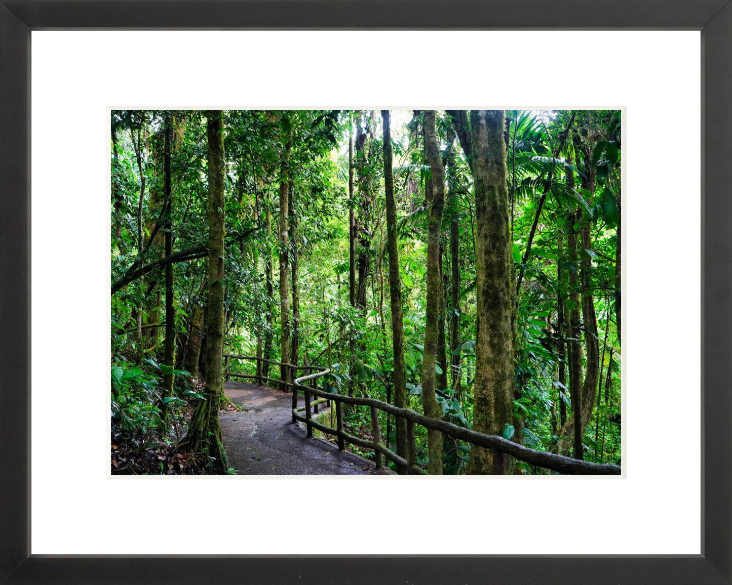 Fine Art Framed Prints: With or Without Mat