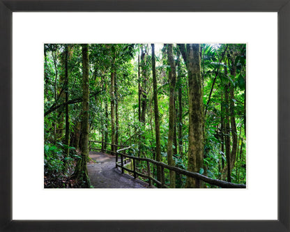Fine Art Framed Prints: With or Without Mat