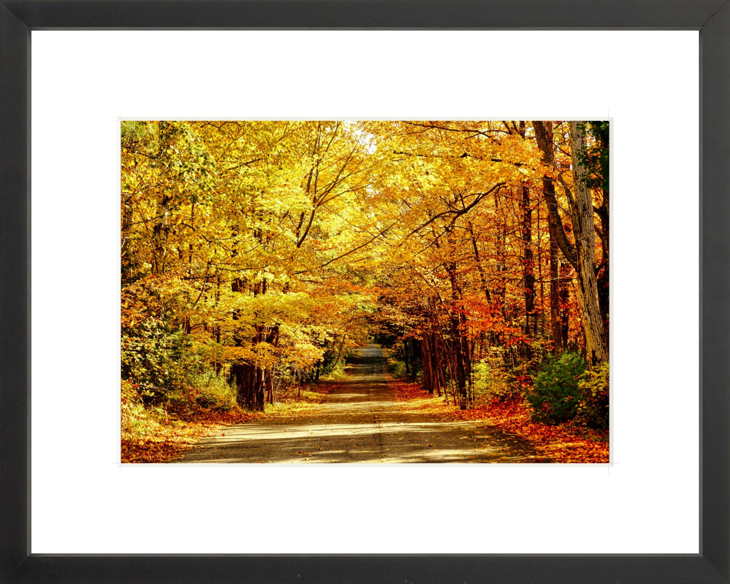 Fine Art Framed Prints: With or Without Mat